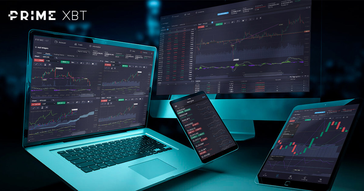 Connect with Contacts PrimeXBT Your Gateway to Crypto Trading Support